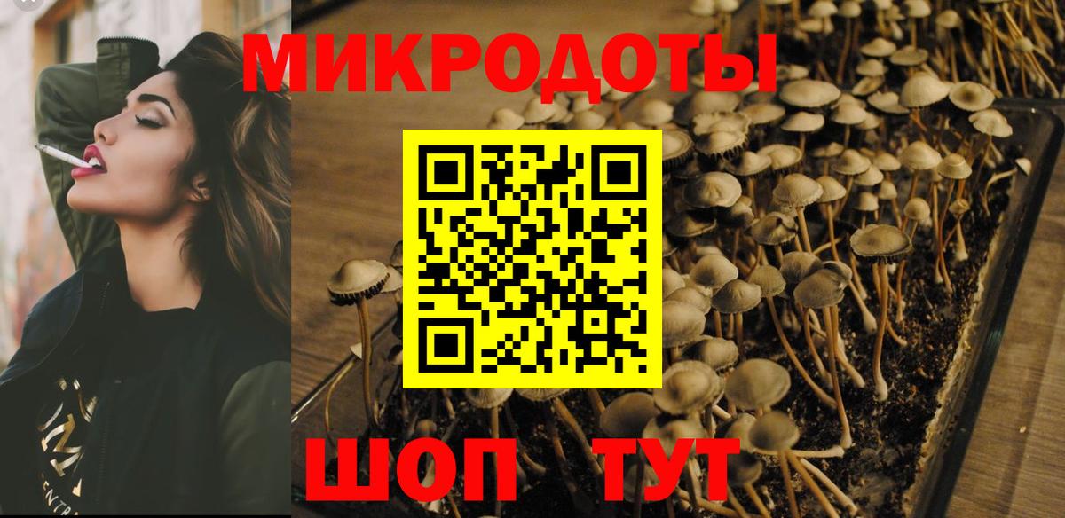 Псилоцибиновые грибы мицелий Салехард